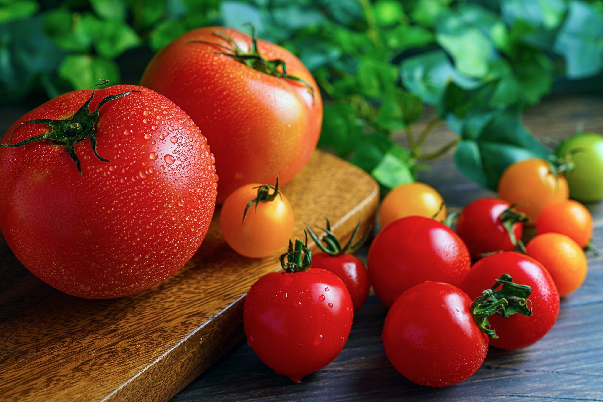 Tomate é o fruto com maior variação